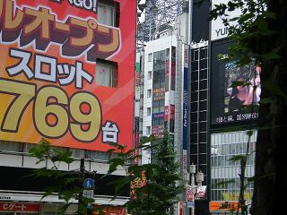 09006s.jpg 800x600 181KB 