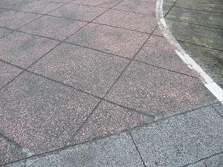 09034s.jpg 800x600 311KB 