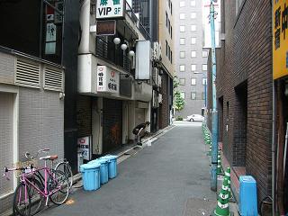 09039s.jpg 800x600 203KB 