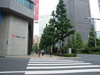 09047s.jpg 800x600 212KB 