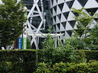 09052s.jpg 800x600 264KB 