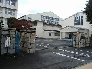 225042s.jpg 800x600 170KB 