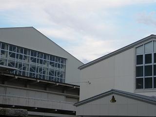 225044s.jpg 800x600 104KB 