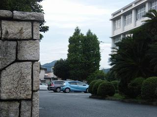 225047s.jpg 800x600 160KB 