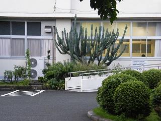 225048s.jpg 800x600 180KB 