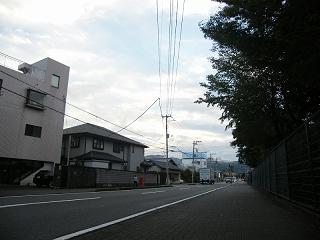 225059s.jpg 800x600 147KB 