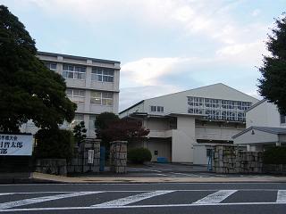 225063s.jpg 800x600 145KB 