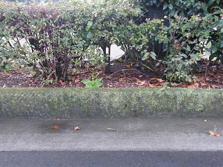 225065s.jpg 800x600 232KB 