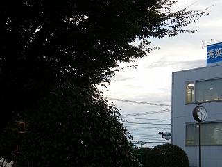 225066s.jpg 800x600 145KB 