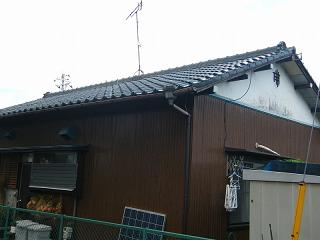 225067s.jpg 800x600 122KB 