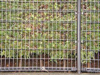 225070s.jpg 800x600 363KB 