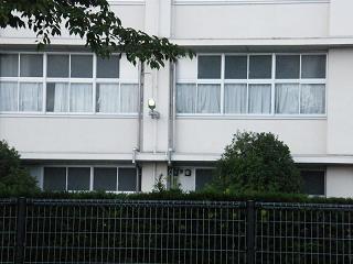 225073s.jpg 800x600 143KB 