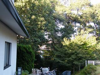 113185s.jpg 800x600 273KB 