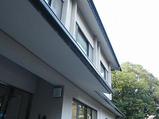 113186s.jpg 800x600 119KB 