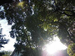 200011s.jpg 800x600 278KB 