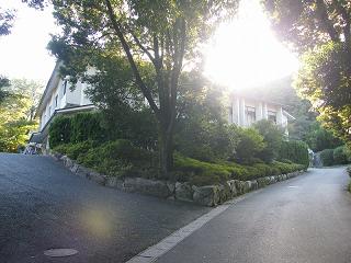 200012s.jpg 800x600 221KB 