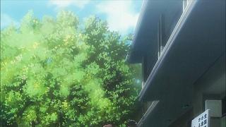 209074.jpg 512x288 45KB 