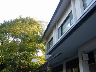 209074s.jpg 800x600 182KB 