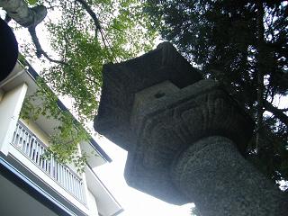 210018s.jpg 800x600 209KB 