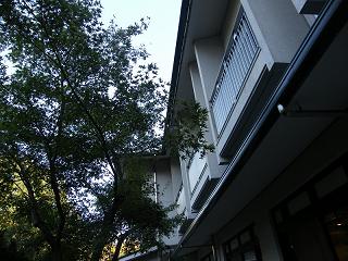 212003s.jpg 800x600 226KB 