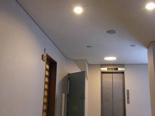 220061s.jpg 800x600 99KB 