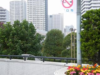 120160s.jpg 800x600 228KB 