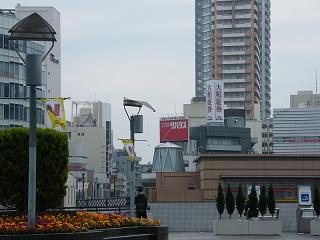 120161s.jpg 800x600 142KB 