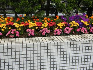 120163s.jpg 800x600 258KB 