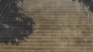 100002.jpg 512x288 24KB 