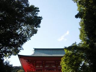 100010s.jpg 800x600 178KB 