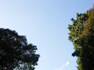 100012s.jpg 800x600 131KB 