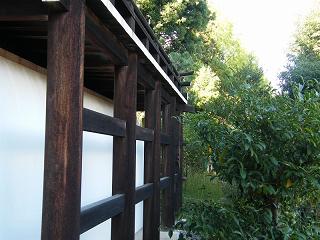 113033s.jpg 800x600 187KB 