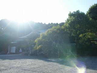 124002s.jpg 800x600 144KB 