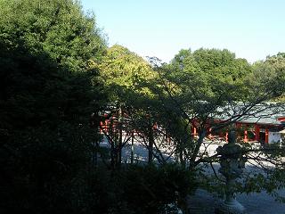 200018s.jpg 800x600 211KB 