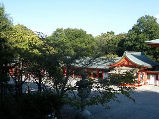 200019s.jpg 800x600 226KB 