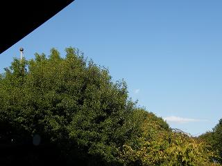 200029s.jpg 800x600 166KB 