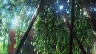 208001.jpg 512x288 55KB 