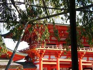 208001s.jpg 800x600 269KB 