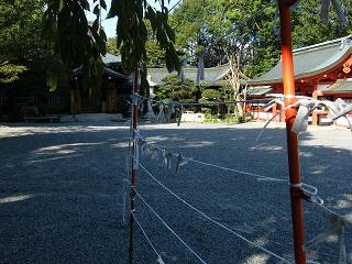 208003s.jpg 800x600 255KB 