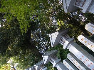 208104s.jpg 800x600 306KB 