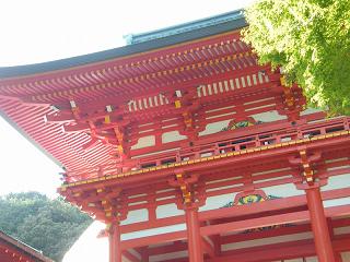 209014s.jpg 800x600 181KB 