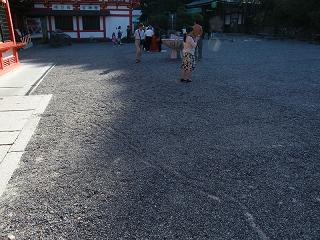 209015s.jpg 800x600 258KB 