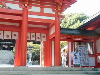 209016s.jpg 800x600 179KB 