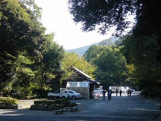 115127s.jpg 800x600 244KB 