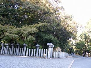 115129s.jpg 800x600 265KB 