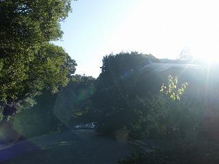 211056s.jpg 800x600 124KB 