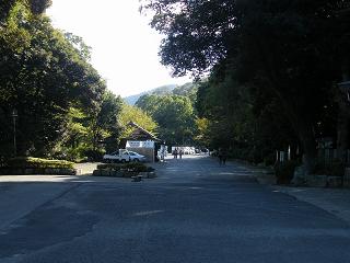 220023s.jpg 800x600 174KB 