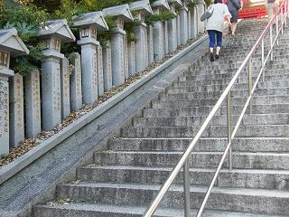 220028s.jpg 800x600 269KB 