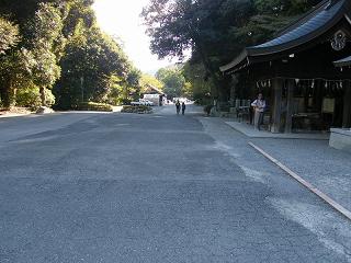 220033s.jpg 800x600 220KB 