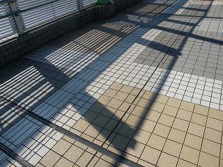 123131s.jpg 800x600 253KB 